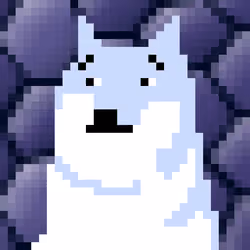 CryptoShibe #7241