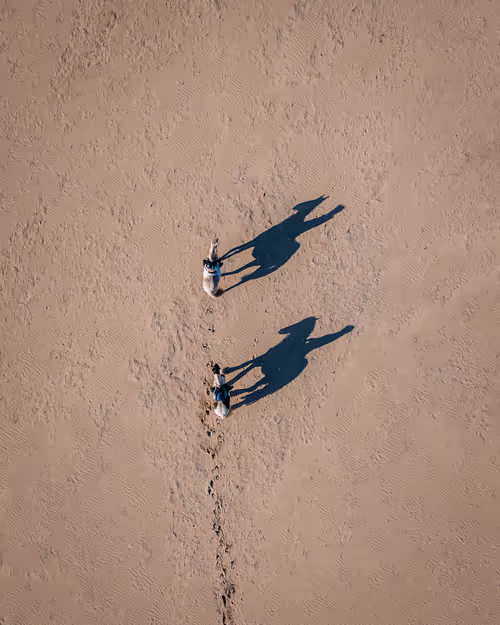 Item #81572442213939252959191260910435432833939058605196789415419147546905817382913 Media