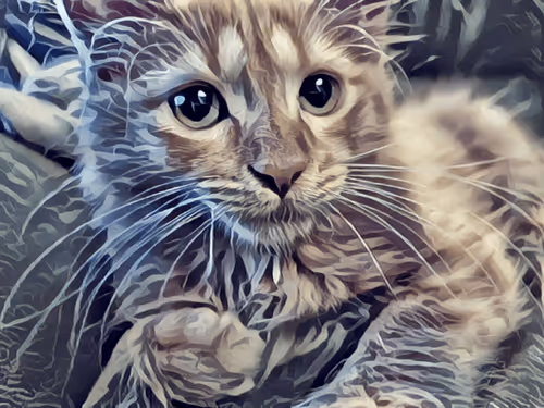 Item #70677597916389332091875359855925065117436584504780574341127713075271976353793 Media