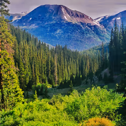 99336931045118591179229277563364267631006438606699611254274404939617242447873