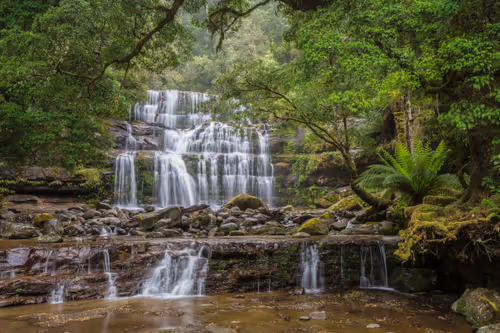 Item #11717075435639617062538583051799023982813876484308334407242089908571811610625 Media