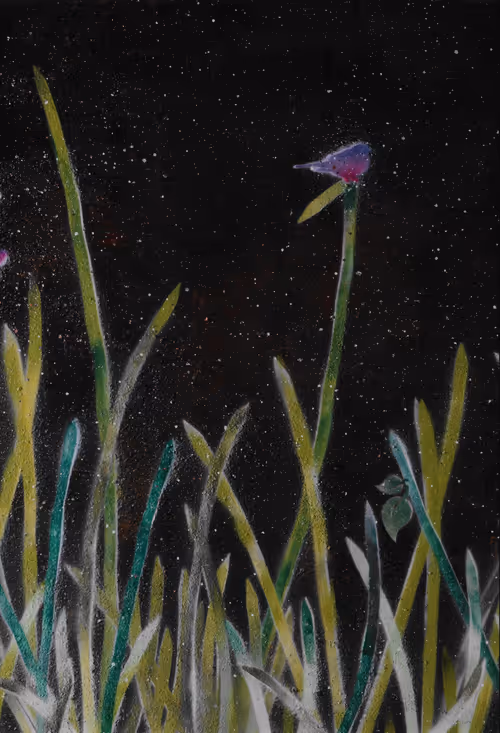 Item #23362206080031759863674021537611628681475652794224112579979904962925422444545 Media