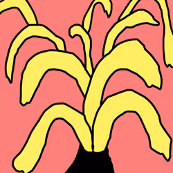 50757670010930022503106803943971214200901707688939653406662438832242272763905