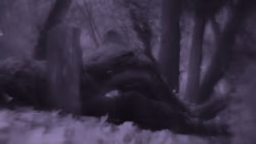 Item #103537636428956788553245855199027552722548685417663804032293973249239436754945 Media