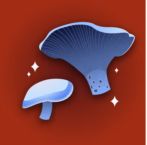 Item #53620360078498613901339183149326713416038543427946561370212887992115184795649 Media