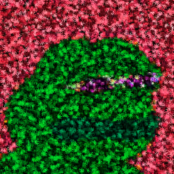 Cannabis Pepe