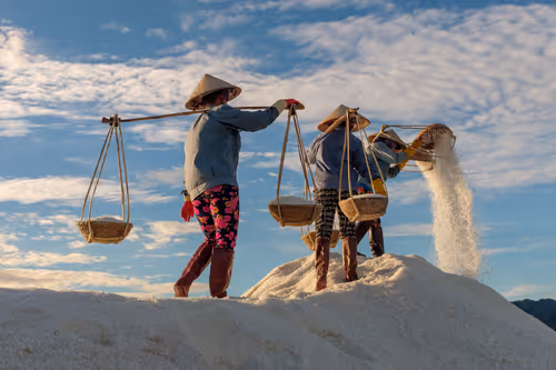 Item #44380994338133063636427405274069008736849147253072084515634940325001141682177 Media