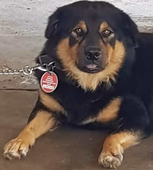 Item #56055091060271351536523847984853154360378800009370414984463609031682378694657 Media