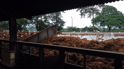 Item #9501492011993552100200174036132824050711189448859184710492527130092268158977 Media