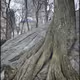 106627857218248978791039670049580028337372286127855137583119882765069994426369