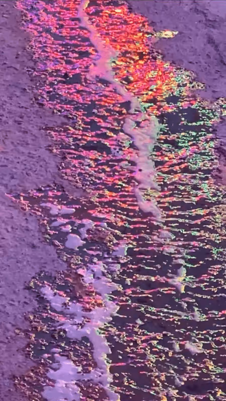 Item #62402000334580523921237358418718502457721815832787791947048085079292318318593 Media