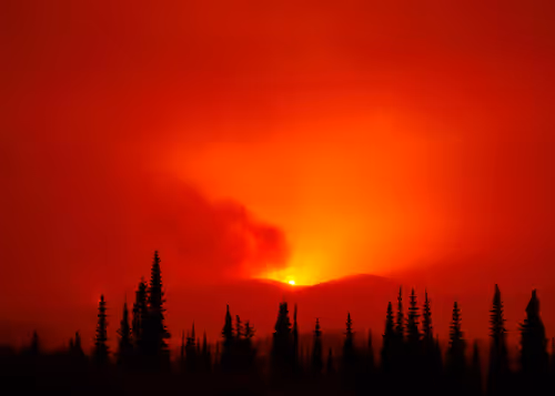 Item #55396979496544417469792883121952566872796951856674190010796140004958141415425 Media