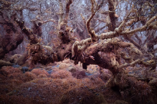 Item #72639390708267126639436568569652760193401123475841185469851730240061097115649 Media