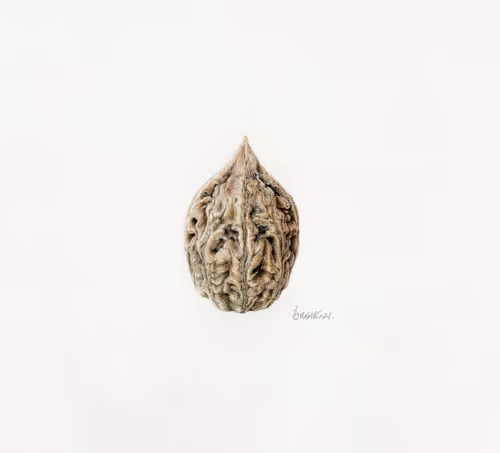 Item #113489034304621262780688231826605953110850630037048369512317058330486244376577 Media