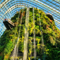 Nature in a Building