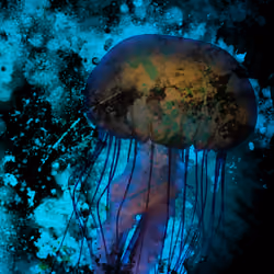 Unlit Abyss