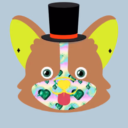 Corgi puppy 1544