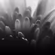 102332330010392241424483100560917049247298654134596954223831831445019725660161
