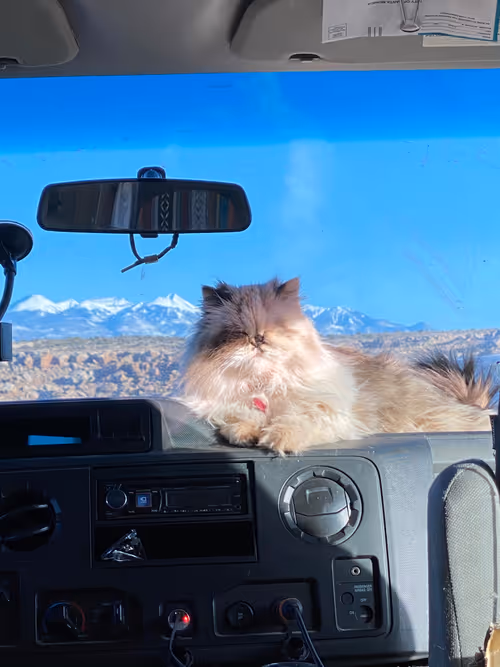 Item #88063557034118437660925886446302507819426649905583175627315428950912792526849 Media