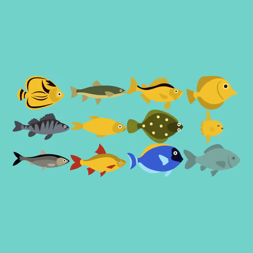 Item #70801528774607367384999374971377128836362529852302722704353113761181912268801 Media