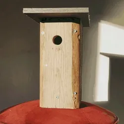 Birdhouse #15