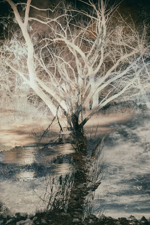 Item #43070642994582151386358674044565282189823590149162061953262107344270117568513 Media