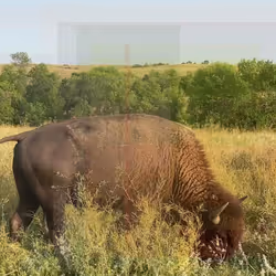 105089968166921690156624725616502706642431777719922472152070405781036407455745