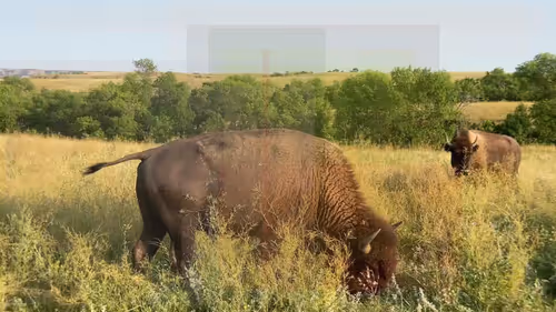 Item #105089968166921690156624725616502706642431777719922472152070405781036407455745 Media