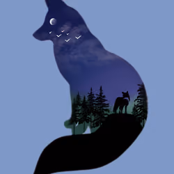 Fox in the night
