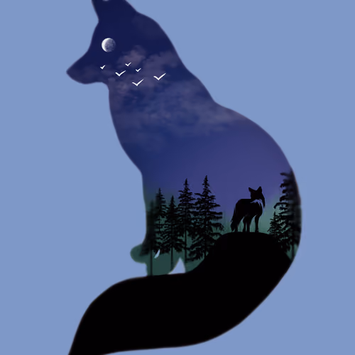 Fox in the night