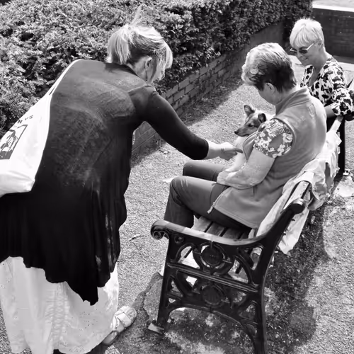 40449787652065743018640773044495240111019622512701765753694832790546581291009