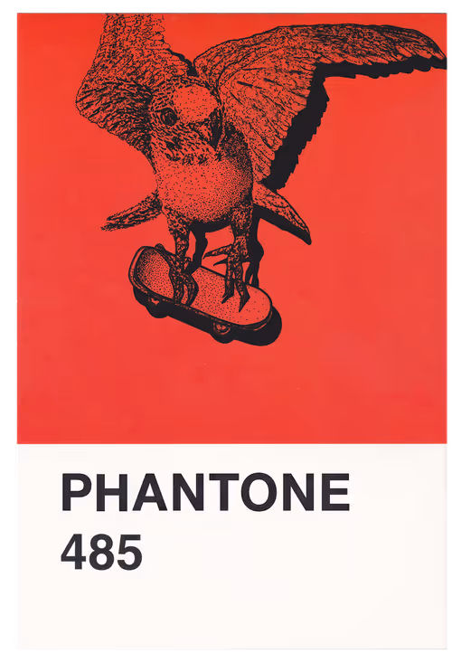 Item #23619072769629648887099014645842319039725167025197022934232545079339471863809 Media