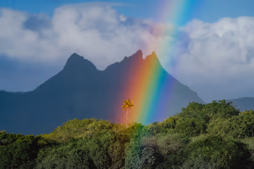 Item #82007330900791544464165619795045730741367351453180481103440088216720635854849 Media