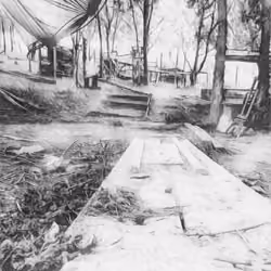 Bridges 