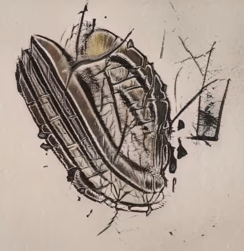 Item #88703530156892223414785792578498700426306496404610018091499060957437677797377 Media