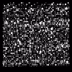 76956748260387085811408422252124805070029056130929092132302480742395924185089