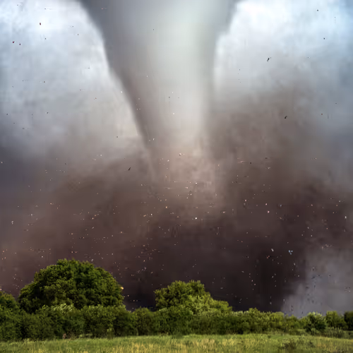 46154160826271547341634704556143841503597126410650149385483954197547272110081