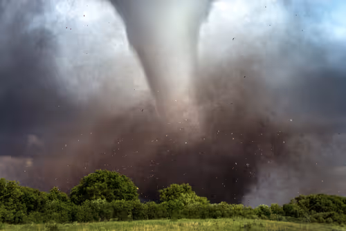 Item #46154160826271547341634704556143841503597126410650149385483954197547272110081 Media