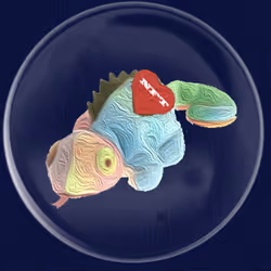 41776025324002017952572422073316458441069080831023694546850786618623152619521