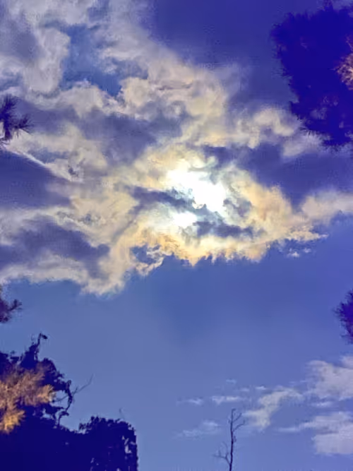 Item #42060316443796044655874448796589109731243459605113798624793464034976728088577 Media