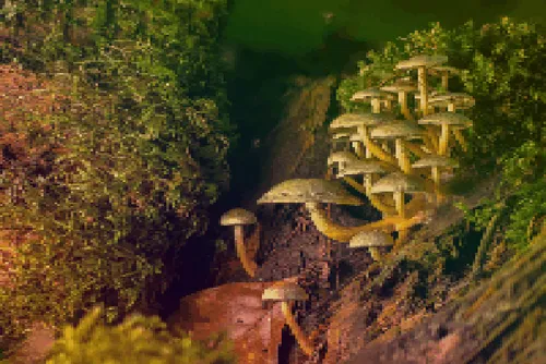 Item #114043227085823410511563149083045456933381279232142212150263608057884265414657 Media