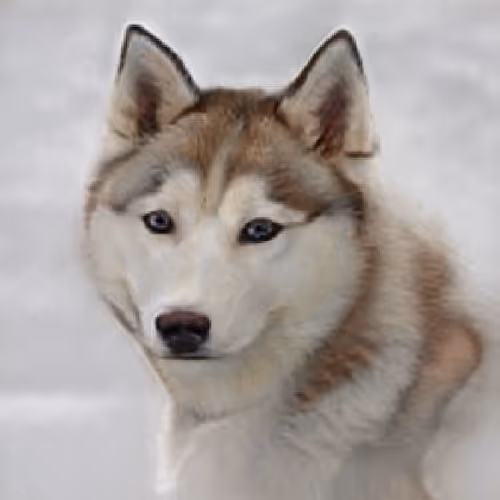 Item #55525875118330994482032925216761404736570211771565447267945268431191097212929 Media