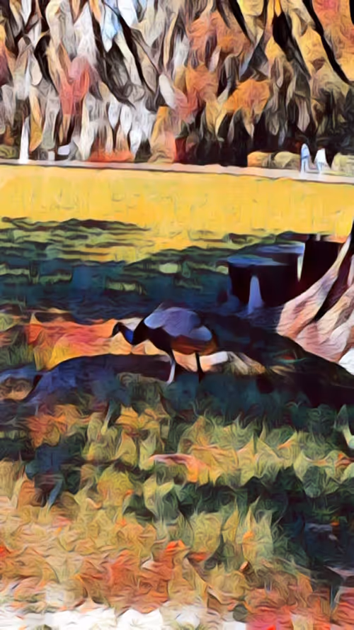 Item #40767780505199480056822134959254116882416403955440335398043331400447882690561 Media