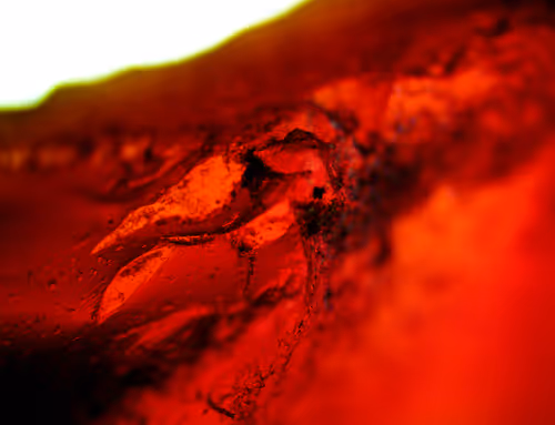 Item #71646257518770613568983710813551014237803002136866425209291834707991284678657 Media