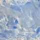 112231581421818528229659282609890368105789292154378039809833579649177999114241