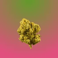 Sour Diesel