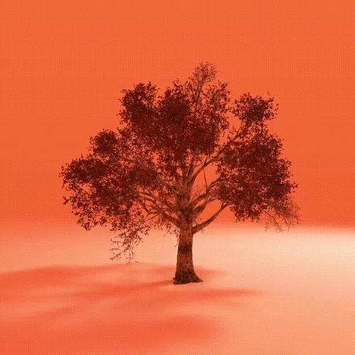 Item #12510215359888036692443693821200507961939031093531727621071302275017358704641 Media