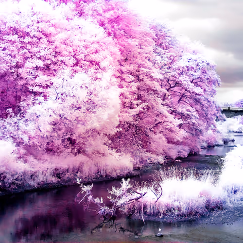 River