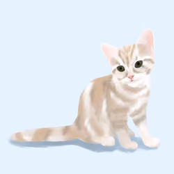 Cat_kkmyy#16