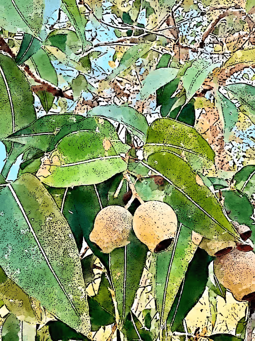 Item #23586274718377853504826207668531862457816485670593798671801516798949088821253 Media